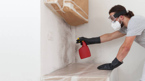 Professional Attic Mold Remediation technician working in Hallwood, VA