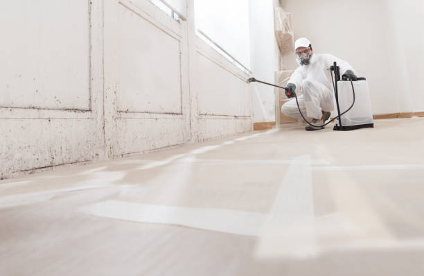 24/7 Emergency Attic Mold Remediation experts in Hallwood, VA