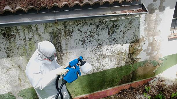 Top rated local Attic Mold Remediation specialists in Hallwood, VA